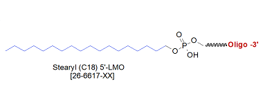 picture of Stearyl C18 LMO Oligo 5'