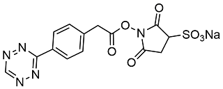 picture of Tetrazine-Sulfo Oligo