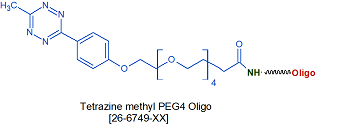 picture of Tetrazine methyl PEG4 Oligo