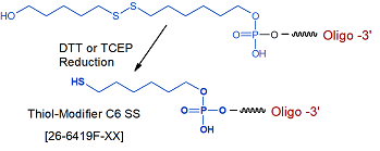 picture of Thiol SS-C6 5'