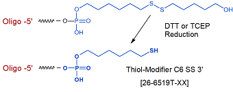 picture of Thiol SS-C6 3'