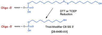 picture of Thiol SS-C8 3'