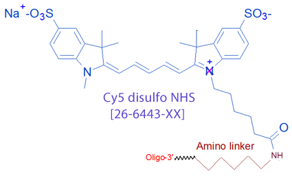 picture of Cy5 disulfo NHS