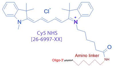 picture of Cy5 NHS