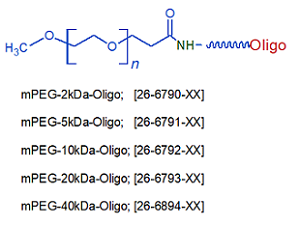 picture of mPEG 40kDa Oligo