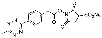 picture of Tetrazine methyl Sulfo Oligo