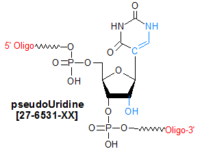 picture of pseudoUridine ribo (psi rU)
