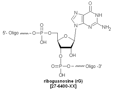 picture of riboguanosine rG
