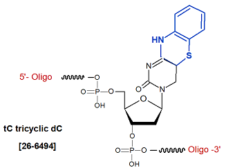 picture of tC tricyclic dC Analogs