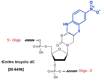 picture of tCnitro tricyclic dC Analogs