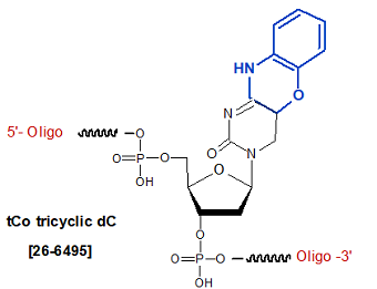 picture of tCo tricyclic dC Analogs